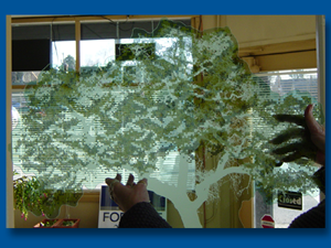 Silk Screened Glass