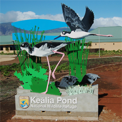 Kealia Pond National Wildlife Refuge